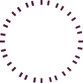 Meister Law Group Our Team about